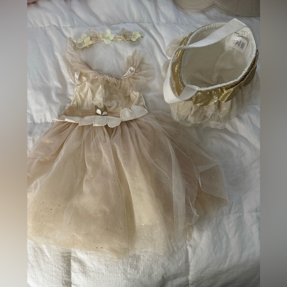 Pottery barn fairy costume